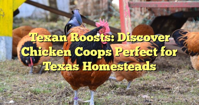 Texan Roosts: Discover Chicken Coops Perfect for Texas Homesteads 